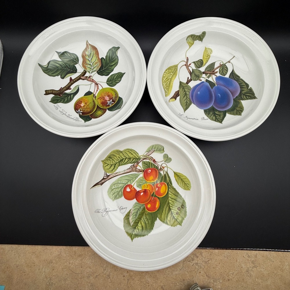 Vintage Portmeirion Pomona Fruit Pasta Bowls Set of 3  9" Ceramic Cottage